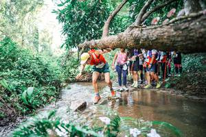 BIB: 
                            <button type="button" onclick="openModal(25516628)" class="btn btn-primary btn-sm float-right btn-popup" data-toggle="modal" data-target=".modal-high-quality">
                        <i class="fas fa-shopping-cart"></i> Add to Cart
                    </button>
                                            <button type="button" onclick="isThisMe(25516628, true)" class="btn btn-success btn-sm float-right btn-popup btn-isme hidden" data-toggle="tooltip" data-placement="bottom" title="นี่คือรูปของคุณใช่ไหม คลิกที่นี่เพื่อเอาเข้าอัลบั้ม">
                        <i class="fas fa-plus"></i> Add to album
                    </button>
                    <button type="button" onclick="isThisMe(25516628, false)" class="btn btn-warning btn-sm float-right btn-popup btn-isnotme hidden">
                        <i class="fas fa-ban"></i> Remove from album
                    </button>